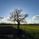 Klaus Martin Schmidt-Waldbauer - @klausmartin - Instagram