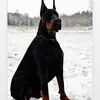 Klaus Meyer697 - @klausmeyer697 - TikTok