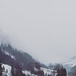 Klaus Meyer - @klaus.meyer30 - Instagram
