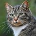 Klaus Meyer - Facebook