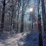 Klaus Toth - @klaustoth716 - Instagram
