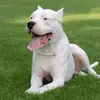 Kleber Gonzalez - @kleber.gonzalez7 - TikTok