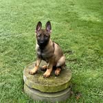 Knud Jensen - @kjevsottrup - Instagram