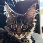 Knut Svebakk-Johansen - @ksjohans - Instagram