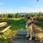 Knut - @knutsauerland - Instagram