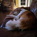 Knute Anderson - @knuteanderson1266 - Instagram