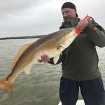Knute - @knuteerikanderson - Instagram