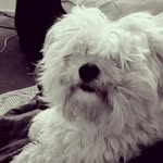 Kobe Brooks - @brooks.kobe - Instagram