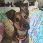 Kobe_Carter - @kobe.villamonico - Instagram