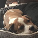 Kobe Carter - @kobecarter9 - Instagram