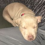 Kobe Wayne Carter - @kobewaynecarter - Instagram