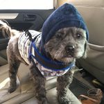 Kobe.Cole - @kobe.cole_ - Instagram