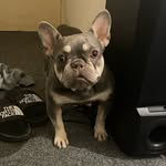 Kobe Dixon - @kobe_leigh - Instagram