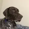 Kobe Ellis - @kobe.ebok - TikTok