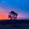 Kobe.Ellis9 - @kobe.ellis9 - TikTok