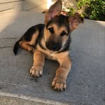 Kobe Franklin - @kobefranklin00 - Instagram