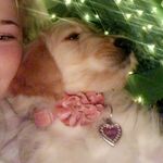 kobe fox hicks💗 - @kobe.fox5 - Instagram