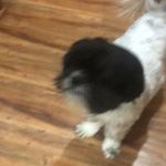 Kobe Hicks - @kobe.hicks.92 - Instagram