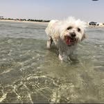 @kobe_holmes - Instagram