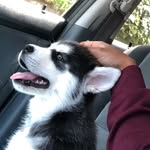 Kobe Holmes - @kobe__holmes - Instagram