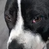 kobeholmes828 - @kobeholmes828 - TikTok