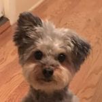 Kobe Kendall - @ilessthanthreekobe - Instagram