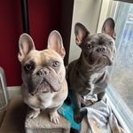 @kobe_kendall - Instagram