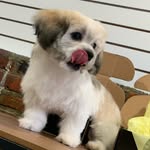 Kobe King - @kobeking0122 - Instagram
