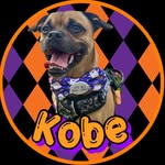Kobe King🧡💛💜🏴󠁧󠁢󠁳󠁣󠁴󠁿 - @kobethejug - Instagram