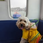 Kobe Lee - @mr.kobebebe - Instagram