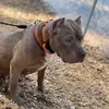 Kobe Lee - @kobe.hampton.01 - TikTok