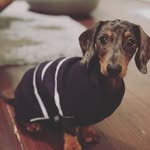 Kobe - @kobe_longboyy - Instagram