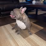 @kobe._.luna - Instagram