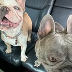 Kobe & Luna - @kobe.luna.xx - Instagram