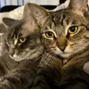Kobe & Luna - @koluna_ - TikTok