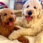 Kobe Luna - Facebook