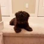 Kobe Luna - Facebook
