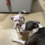 Luna & kobe - @luna_kobe_305 - Instagram