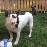 Luna & Kobe - @luna_kobe_ - Instagram
