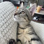 Luna and Kobe - @luna.and.kobegrz - Instagram