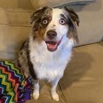 Luna Kobe - @luna.kobe24 - Instagram