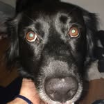 Kobe May - @kobe_lifestyle - Instagram