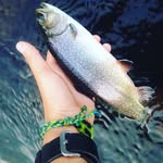 Kobe Morris - @kobekmorris - Instagram