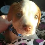 Kobe Nichols - @caylee.young000 - Instagram