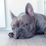 Kobe Nichols - @kobenics - Instagram