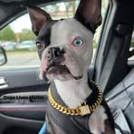 Kobe Norman - Facebook