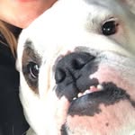 Kobe Norton - @kobe.max.norton - Instagram