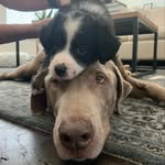 Chaco & Kobe Patterson - @chacoandkobe - Instagram