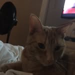 Kobe Patterson - @kobe.patterson - Instagram