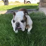 Kobe Peterson - @kobepeterson_2 - Instagram
